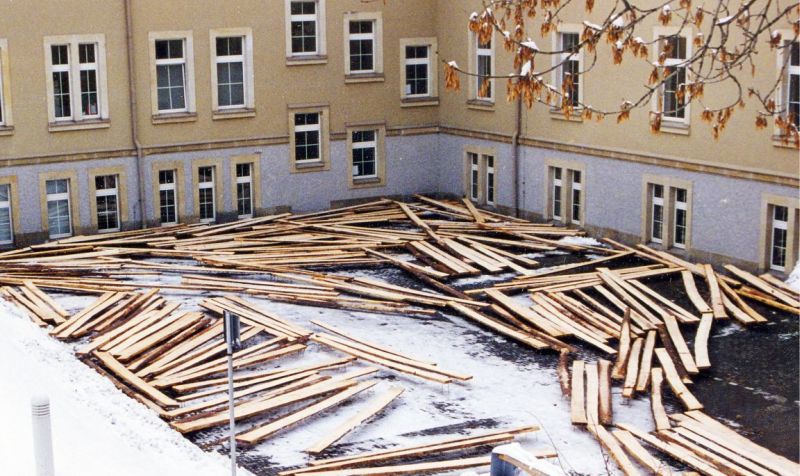 treibholz-holzgestaltung-ak-schneeberg-atelier-schade-weselsky